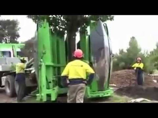 فيديو مذهل-  كيف تتم عملية نقل الأشجار دون قطعها؟