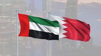 الإمارات تؤكد دعمها لسيادة البحرين واستقرارها