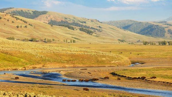 The One Place in the US Where Murder Could Be Legal