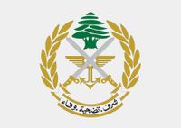 الجيش يفكك قنبلتين من مخلفات العدوان الإسرائيلي