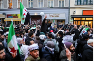 تجنيس قياسي في ألمانيا والسوريون في الصدارة
