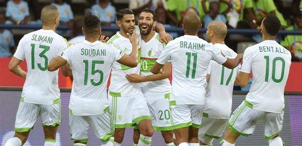 مصر تستقبل 4 طائرات لمشجعي الجزائر.. استعدادا "للأفيال"