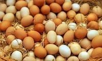 6 علامات قد تشير إلى أن تناول البيض ليلًا لا يناسبك