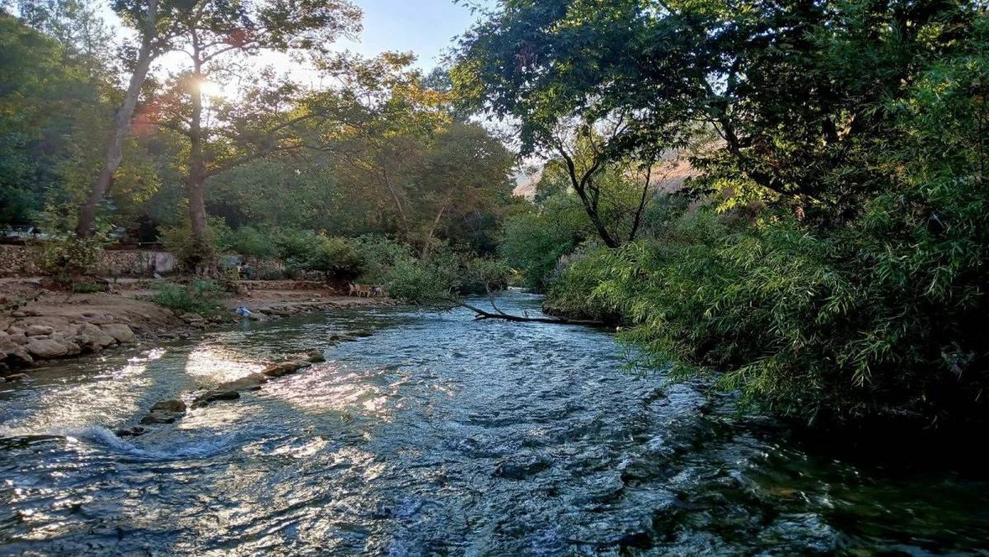 تحرّك رسمي لحماية الليطاني