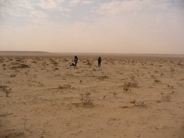 اعتداء داعشي في البادية السورية