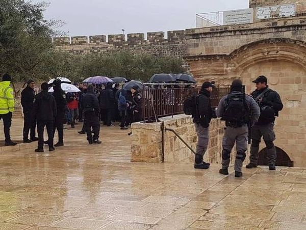 هذا ما فعله أكثر من 150 مستوطن يهودي داخل مسجد الاقصى