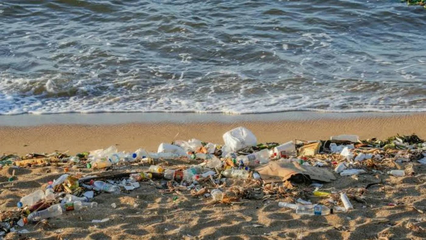 الدفاع المدني يواكب حملة لتنظيف شاطئ الروشة وحماية البيئة البحرية