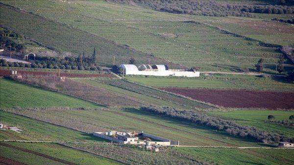 بعد رش الإحتلال للمبيدات.. إعلان عن نتائج تحاليل المادة المرشوشة