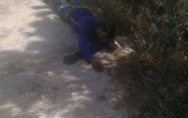 خاص بالصور.. 5 جرحى في هجوم كلبٌ شرسٌ على المواطنين في بلدة ميفدون بالنبطية