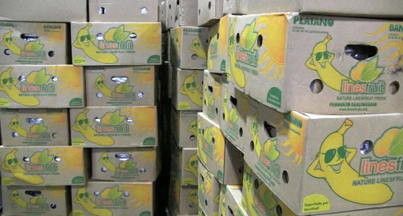 ضبط صناديق موز محشوة كوكايين في الإكوادور مرسلة إلى هذا البلد