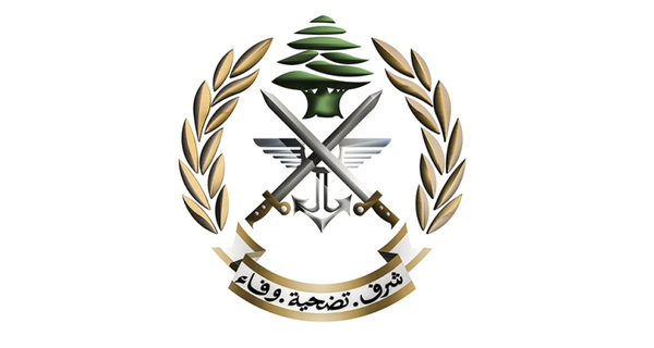 الجيش: تفجير ذخائر غير منفجرة في عيترون وحقل عيناتا
