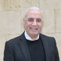 محمد بلوط