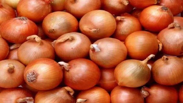 بالوثيقة- بعد إرتفاع سعره.. قرار هام من وزير الزراعة بشأن تصدير البصل