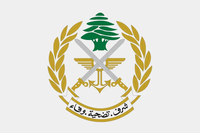 الجيش يوقف 3 أشخاص في بعلبك ويضبط أسلحة وذخائر