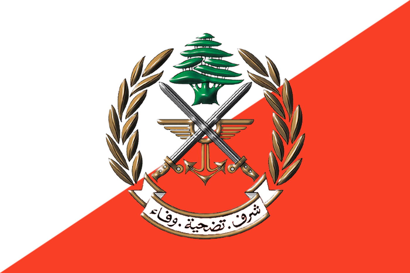 تمارين تدريبية وتفجير ذخائر للقوات الجوية