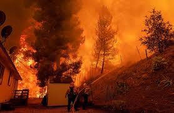 حرائق الغابات تلتهم شمال لوس أنجلوس ووسط كاليفورنيا وتهديد لمئات المنازل