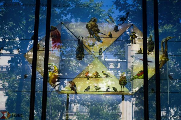 أول شركة تكنولوجيا سعودية ناشئة تختار "HSBC" لإدارة اكتتابها العام