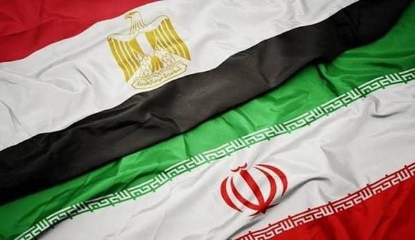الخارجية المصرية: وزير الخارجية ونظيره الإيراني بحثا هاتفيًا سبل العودة للمفاوضات
