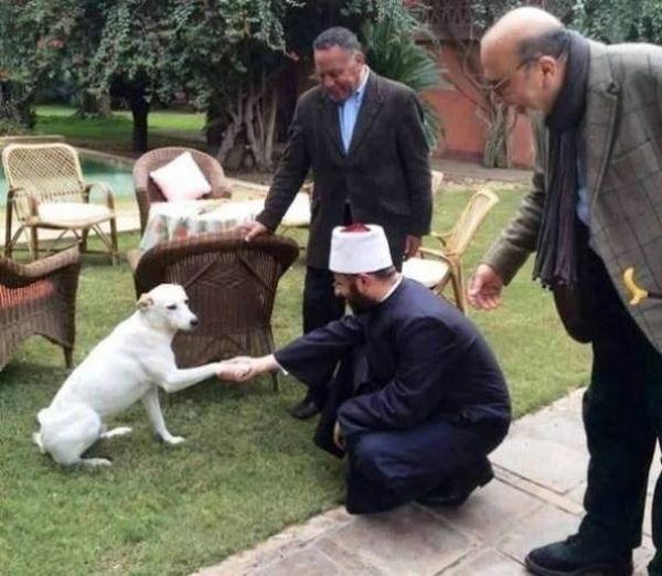 شيخ مصري يصافح كلباً.. لن تصدق ما حدث