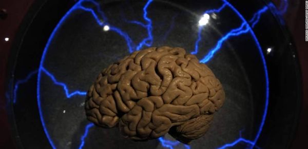 أطعمة "يحبّها الدماغ" وتقوي الذاكرة.. تعرّفوا إليها!