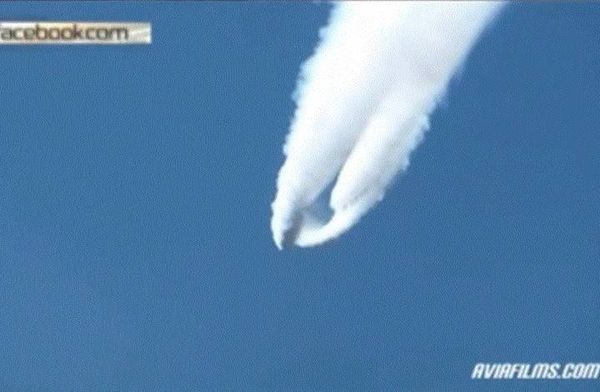 طائرٌ مجهول يثير تساؤلات المسافرين . بالفيديو