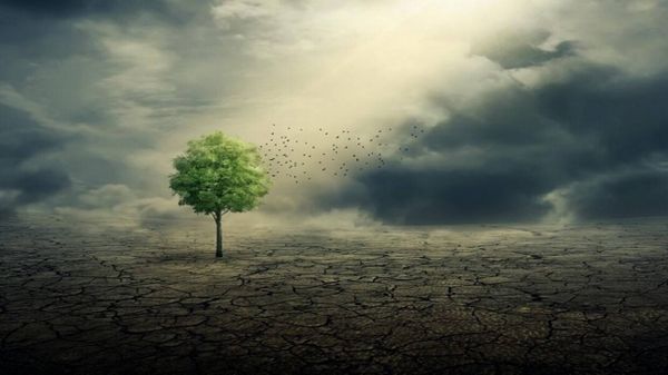 نشاط الإنسان تسبب في تغير هطول الأمطار