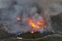 بعد أن التهمت الأخضر واليابس... الأمم المتحدة تتدخل لمكافحة حرائق اللاذقية!