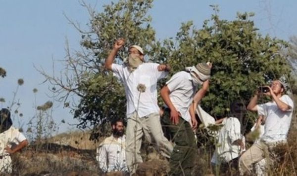 الهلال الأحمر الفلسطيني: إصابة فلسطيني إثر اعتداء مستوطنين عليه في بلدة عربونة قرب جنين شمال الضفة الغربية