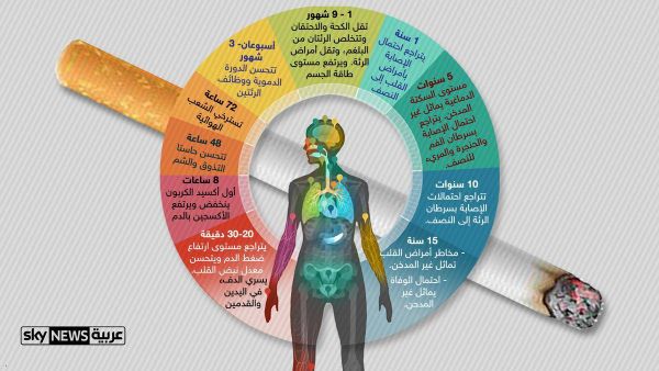 إنفوغرافيك.. هذا ما سيحدث لجسمك بعد التوقف عن التدخين