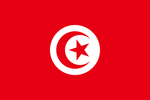 مقتل شخص وإصابة اثنين إثر سقوط مروحية عسكرية وسط #تونس