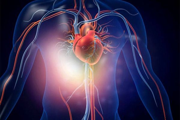 تجديد خلايا القلب...  تجربة علمية قد تفتح أبواب جديدة لعلاج أمراض القلب