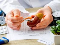 أمراض الكلى وطرق الوقاية... من السكري الى ارتفاع ضغط الدم!