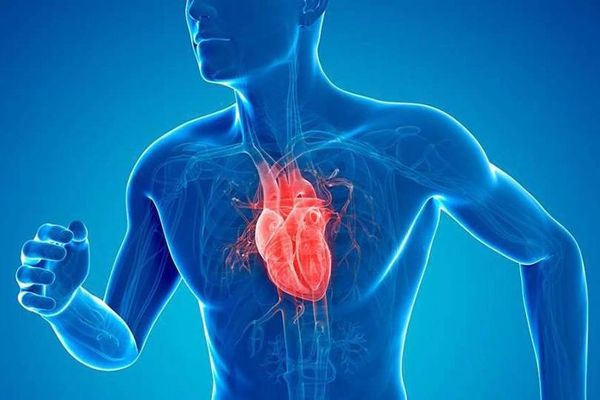 اكتشاف طبي: قلب الإنسان قادر على إنتاج خلايا جديدة بعد النوبة القلبية