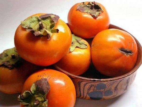 حقائق مذهلة لا تعرفونها عن الخرما !