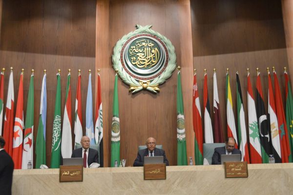 شكري يؤكد على ضرورة إيجاد حلول عربية للقضايا العربية