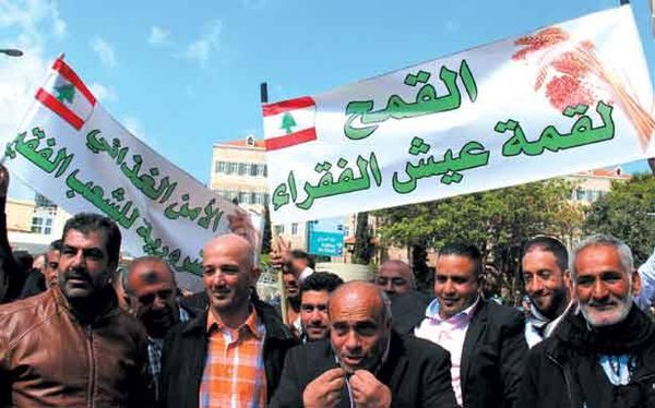 القمح مسرطناً أو طبيعياً