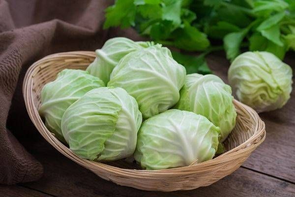 خبراء التغذية يحددون النباتات الأكثر فائدة لصحة الإنسان