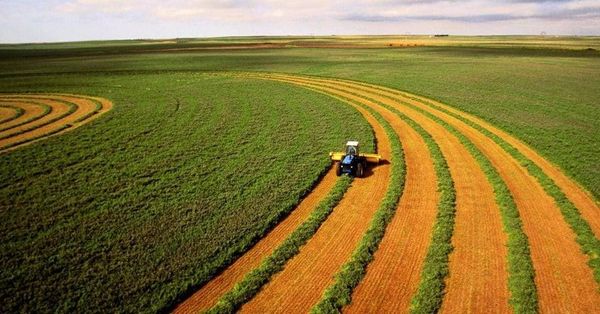 روسيا: منتجاتنا الزراعية للأصدقاء فقط