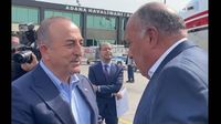 أوغلو: تركيا تفتح صفحات جديدة مع مصر