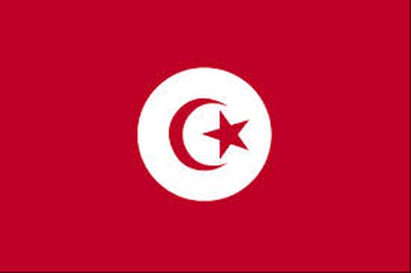 إرتفاع حصيلة الإشتباكات المسلّحة شمال غرب العاصمة التونسية إلى 7 قتلى