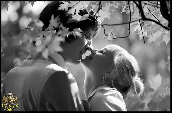 أنا هي
مهبط وحيك
