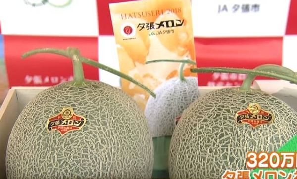بالفيديو-  بطّيختان بـ 29 ألف دولار.. ما سرّهما؟