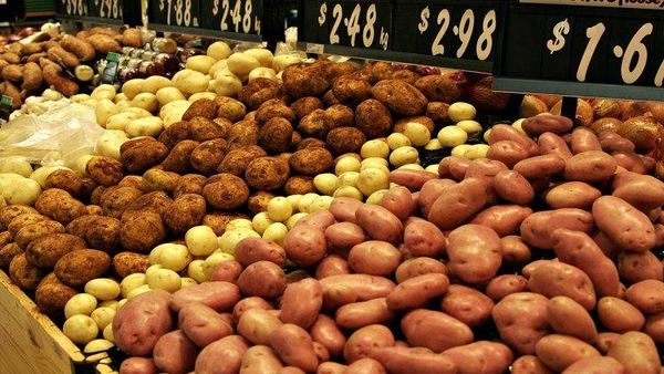 تونس.. مطالب بالتحقيق في صفقة البطاطا التركية ”الفاسدة“