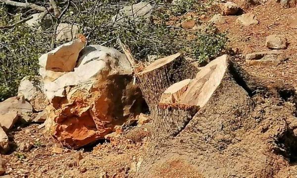 مناشدات للقوى الأمنية والوزارات المعنية.. ماذا يحصل في دير الأحمر؟