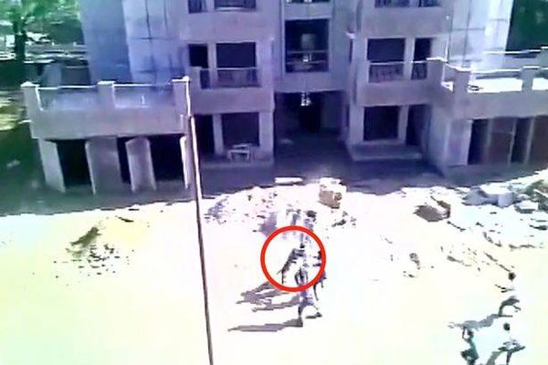 نمر يهاجم مجموعة رجال في الهند!   فيديو