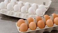 5 خطوات لاختيار البيض الصحي والأفضل
