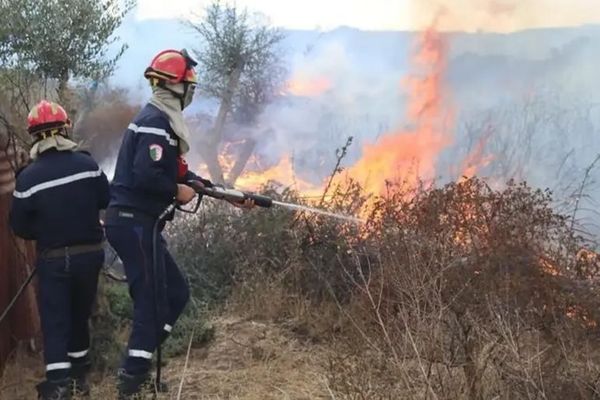 النار لم تنتهِ... جمرات خفية تهدد بإشعال حرائق الجزائر من جديد