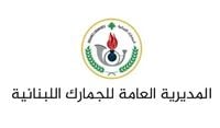 الجمارك تضبط كميات كبيرة من الأدوية المهرّبة في الجنوب وتوقف شخصين
