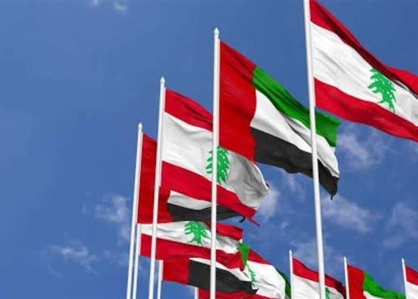 دبوسي يدعو إلى شراكة اقتصادية واستثمارية متقدمة بين لبنان والإمارات