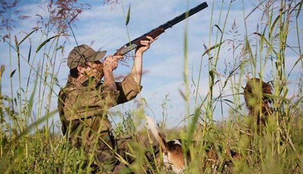 وزير البيئة: مستمرون بمكافحة الصيد العشوائي للطيور المهاجرة